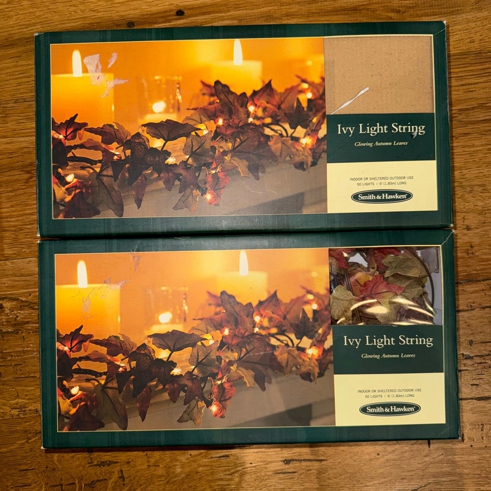 Smith & Hawken Ivy Light String with Warm Leaf Tones